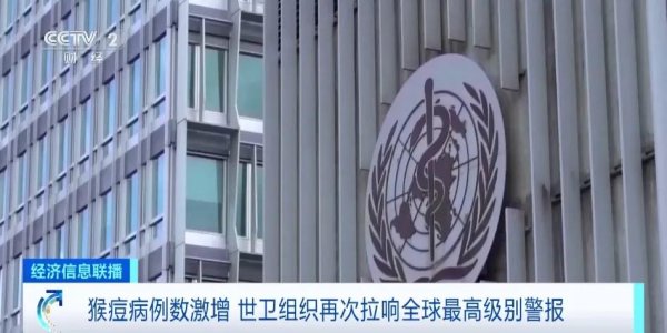 股票证券公司选择 537人死亡！官方紧急公告，这些人要主动申报